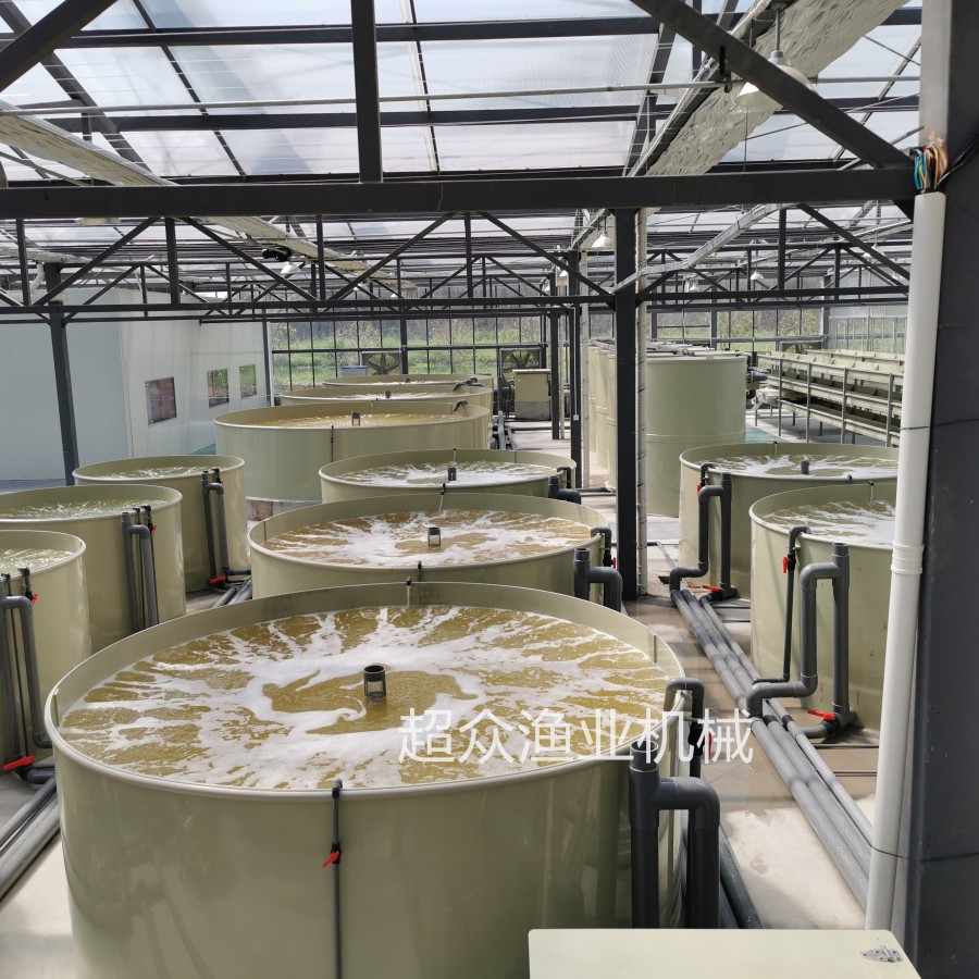 Factory based Circular Aquaculture System