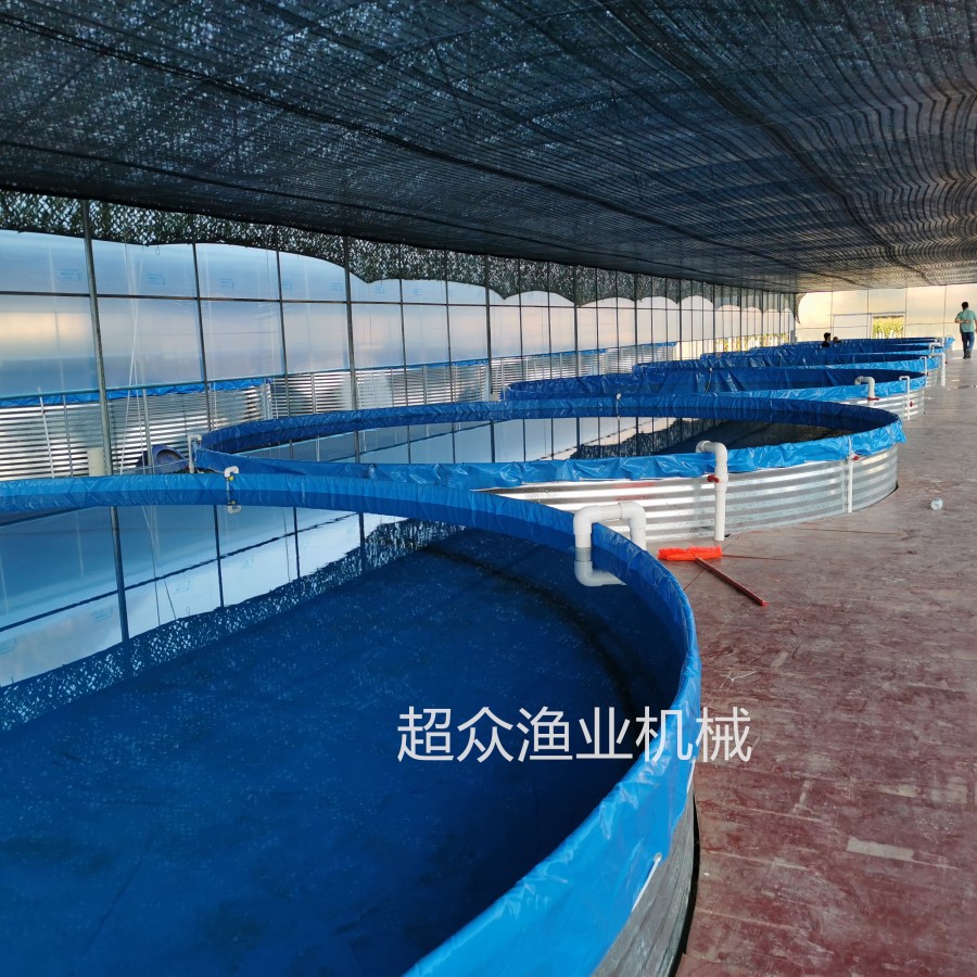 Factory based Circular Aquaculture System