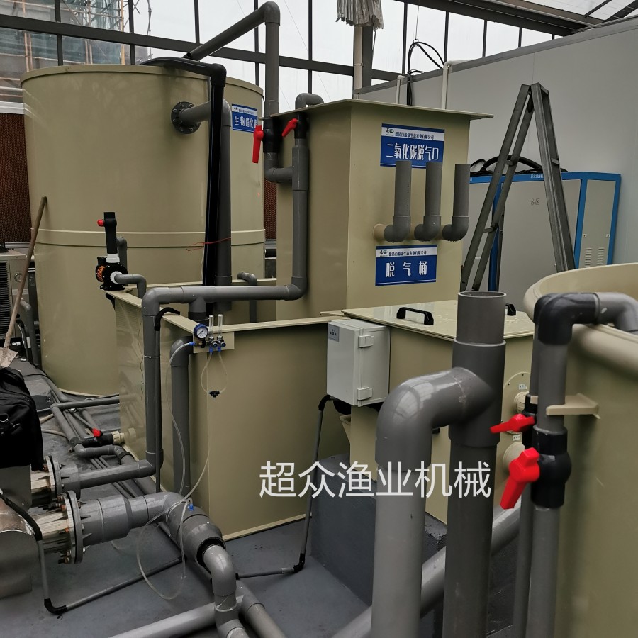 Factory based Circular Aquaculture System