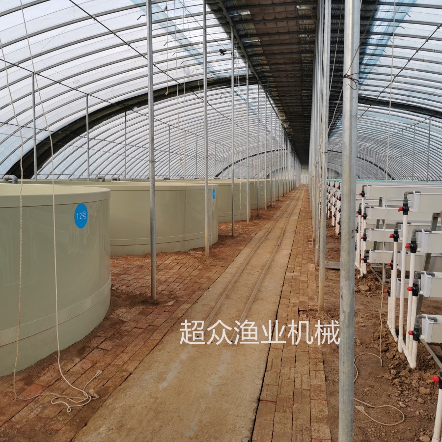 Factory based Circular Aquaculture System