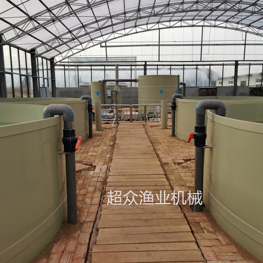 Factory based Circular Aquaculture System