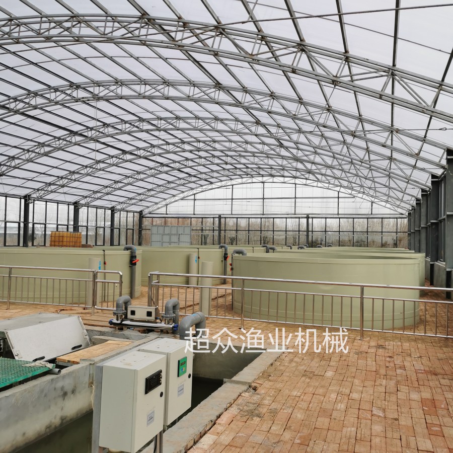 Factory based Circular Aquaculture System