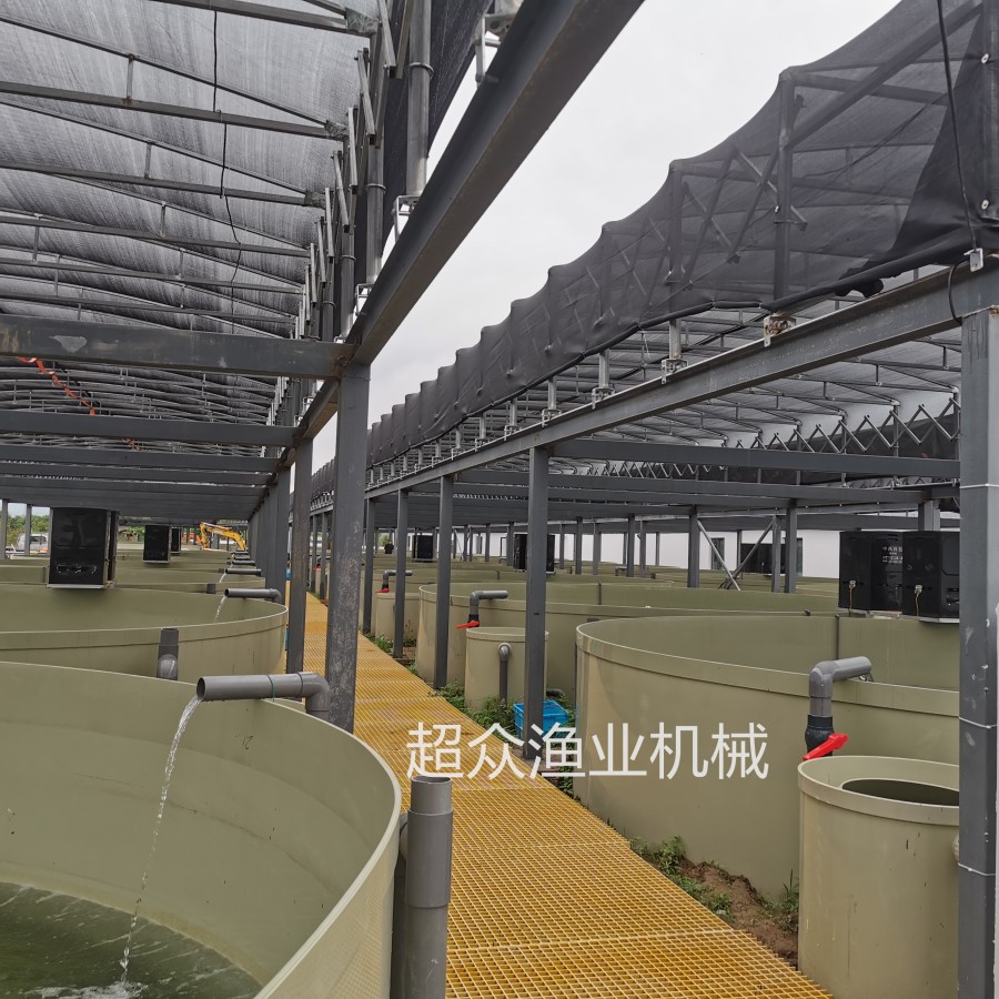 Factory based Circular Aquaculture System