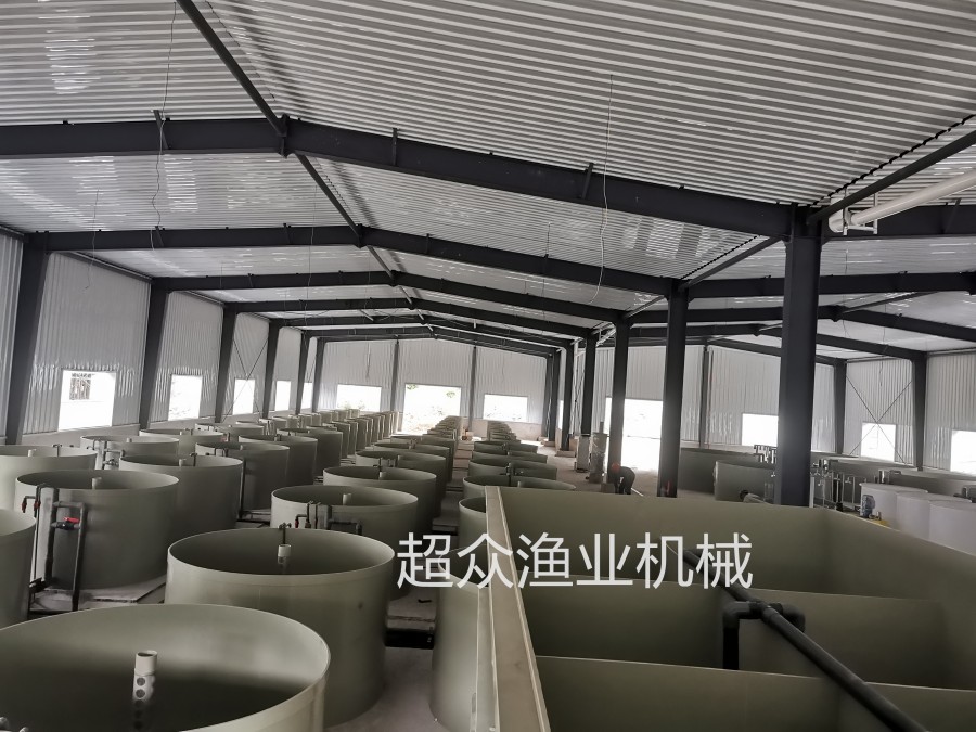 Factory based Circular Aquaculture System